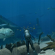 Illustration for article titled Taking A Dip In Endless Ocean 2 Screenshots